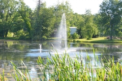 View of Our Pond