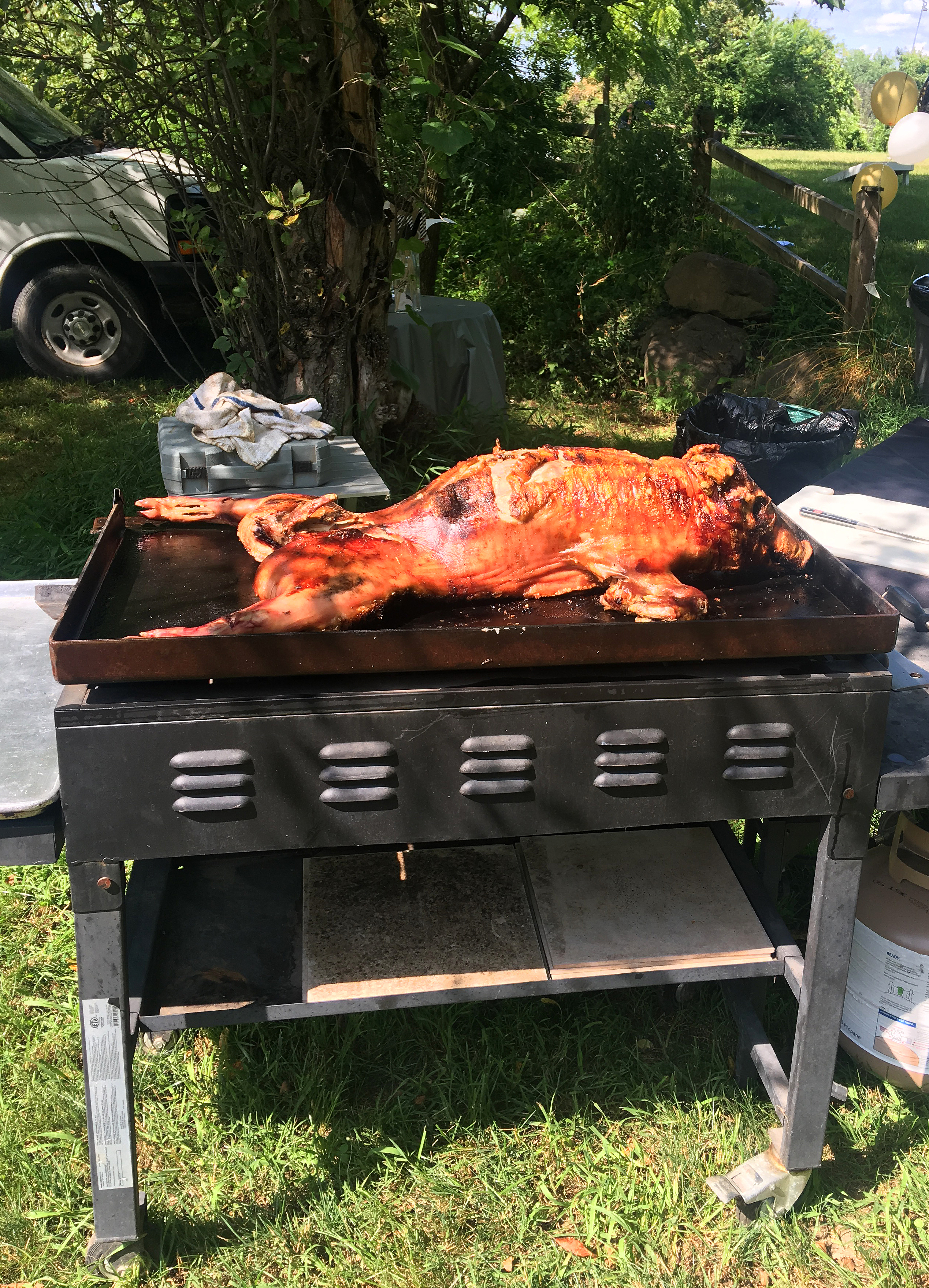 Pig on Grill